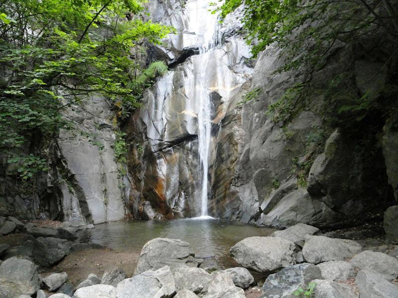Allotjament Taga Рибес-де-Фресер Экстерьер фото